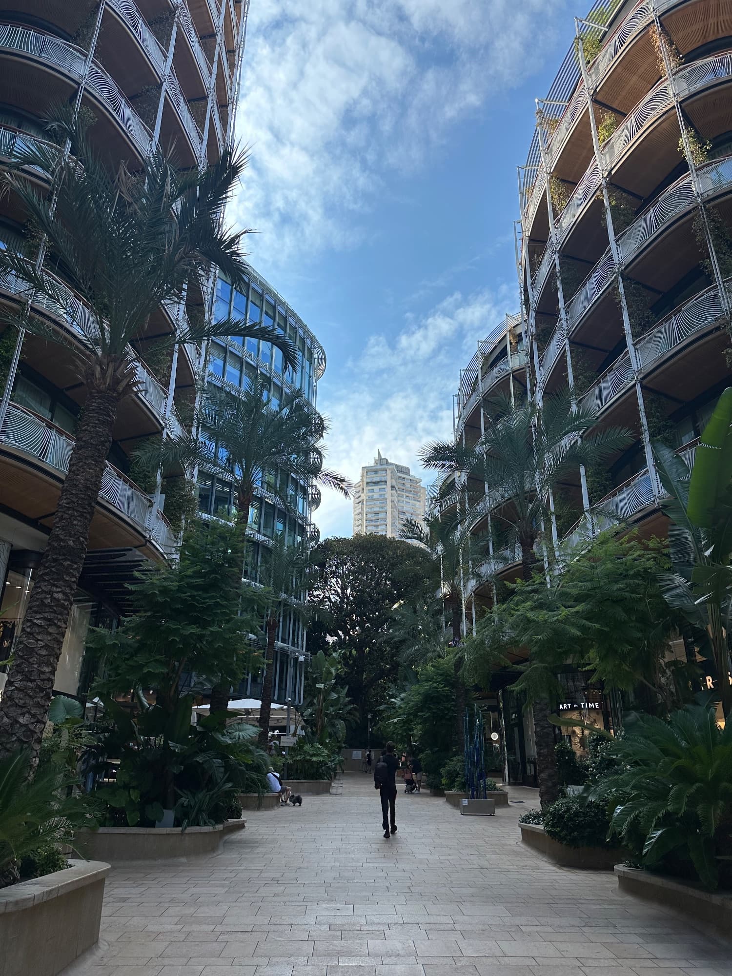 Foto 6 dell'esperienza 3 giorni a Montecarlo e Nizza